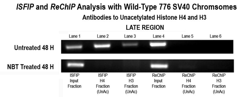 Figure 6B