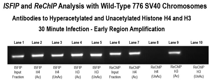 Figure 4A