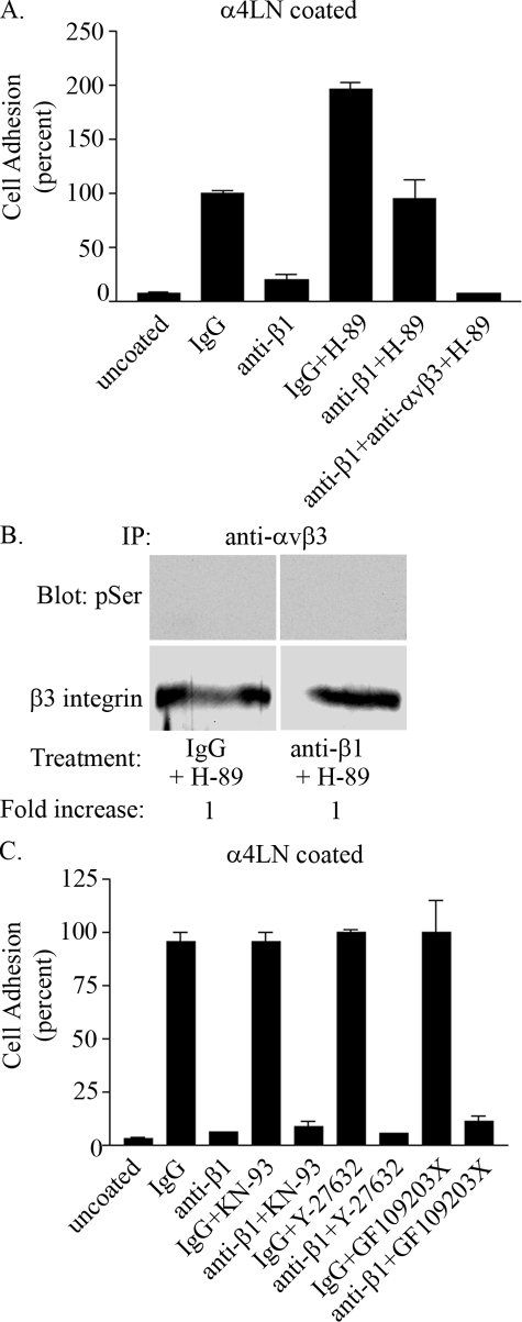 FIGURE 9.