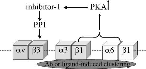 FIGURE 11.