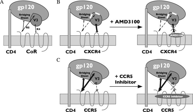 FIG. 7.