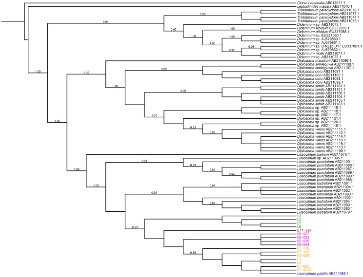 Figure 1