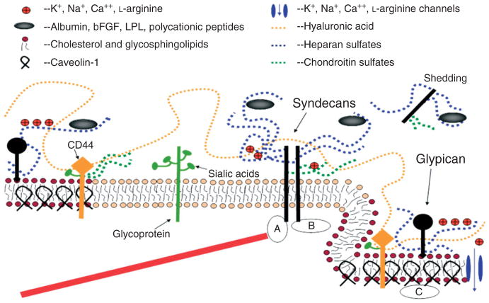 FIGURE 3