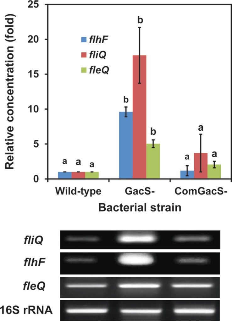 Fig. 3.