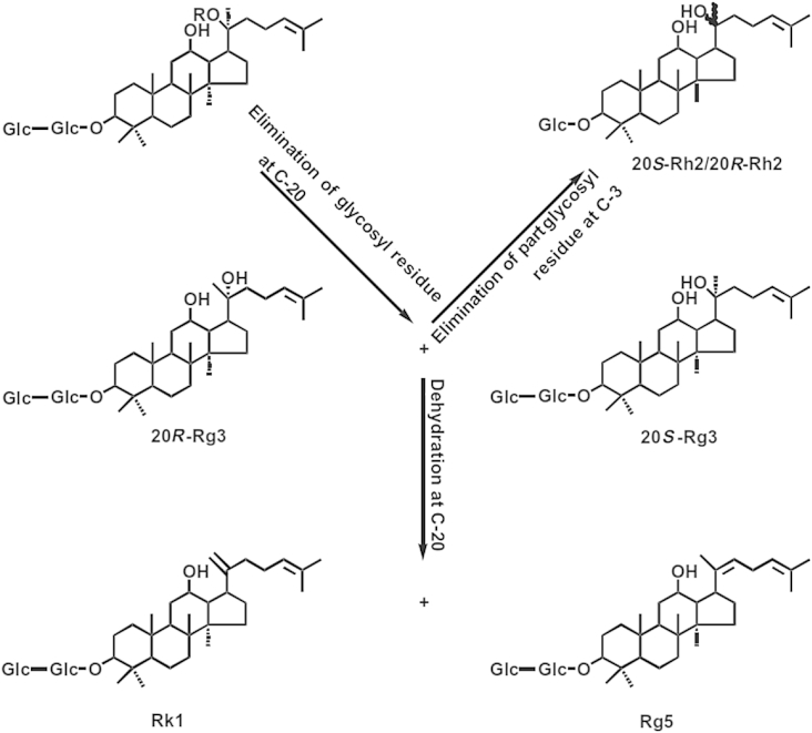 Fig. 1