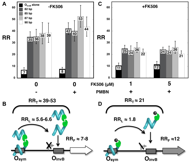 Figure 6.