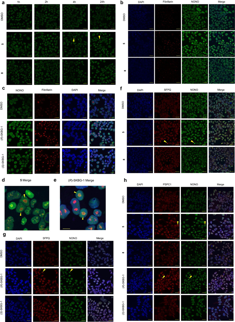 Extended Data Fig. 8 |