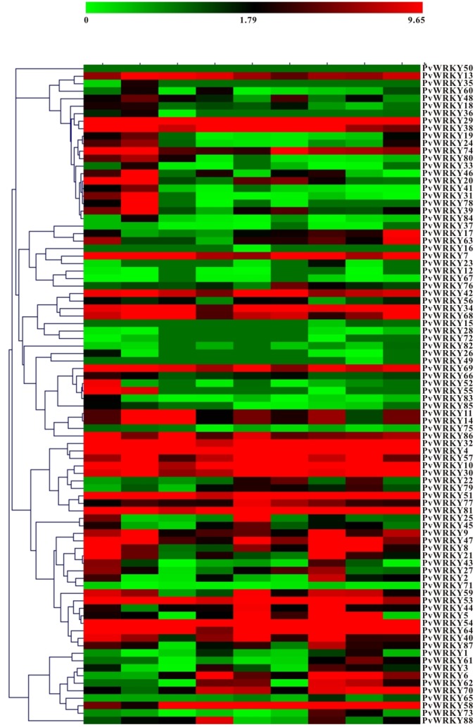 FIGURE 4