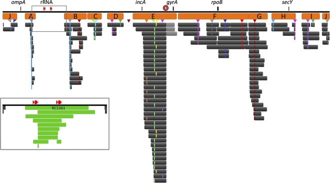 FIG 2