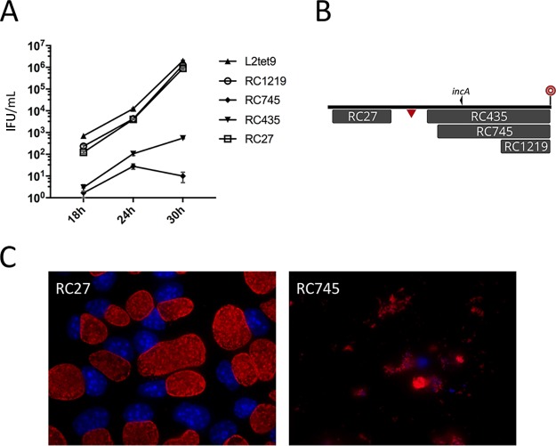 FIG 4