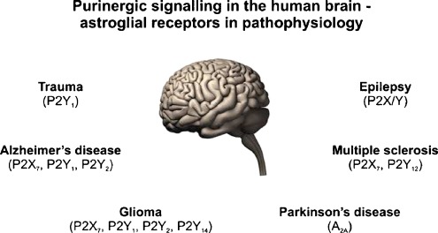 Fig. 5