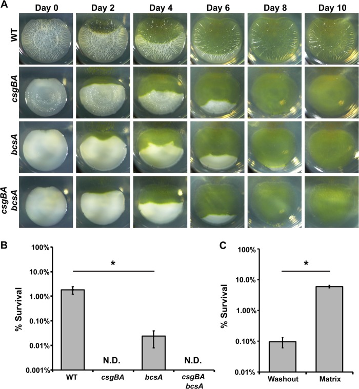 FIG 4