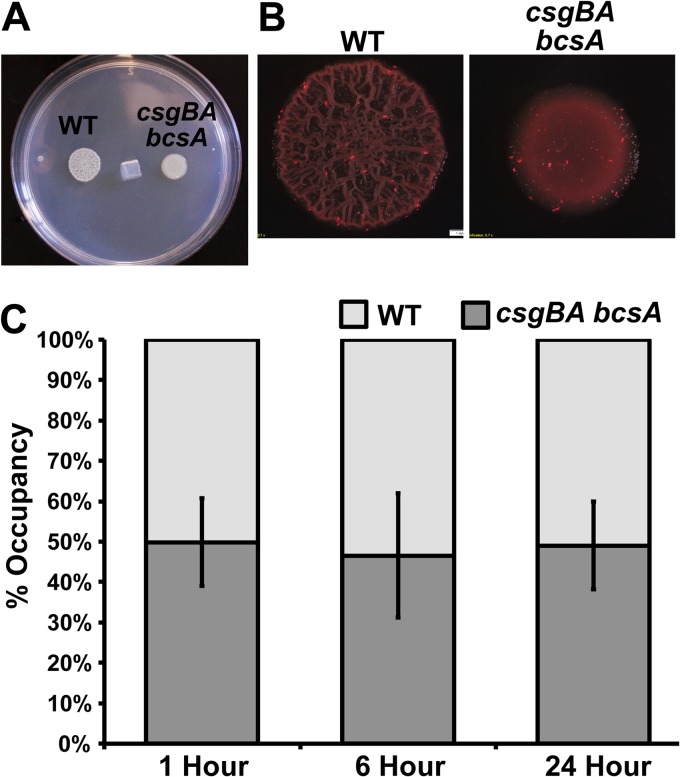 FIG 2