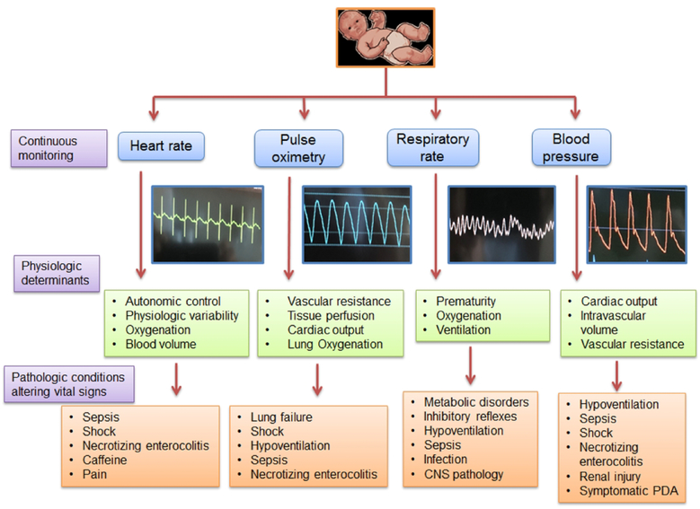 Figure 1 -