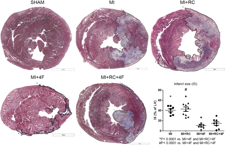 Fig. 4.