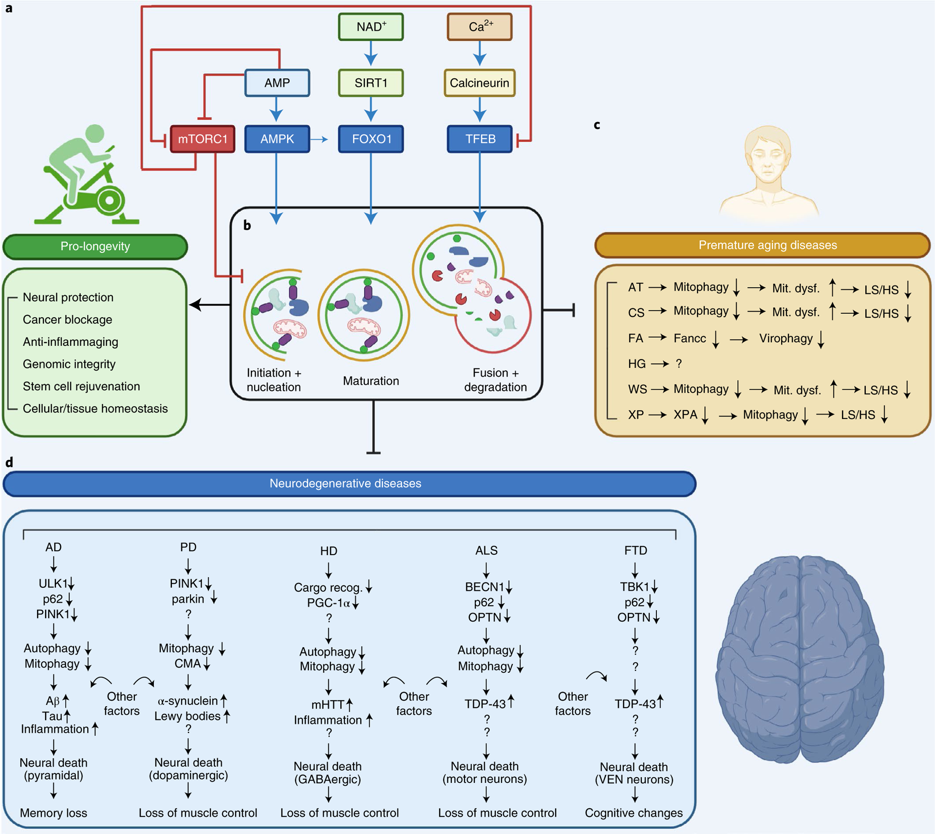 Fig. 3 |