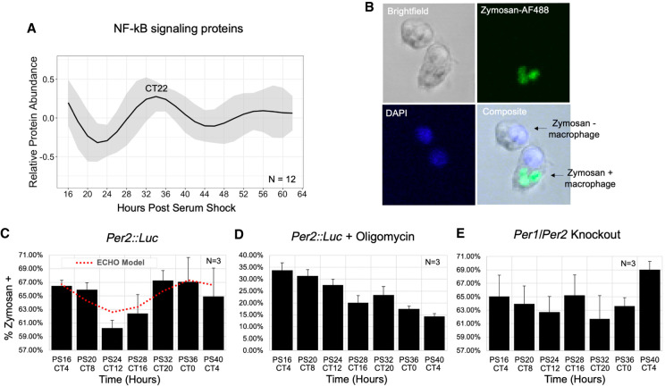 Figure 6.