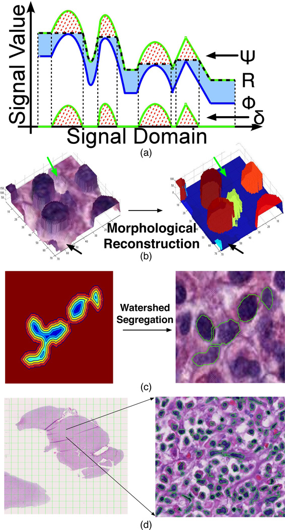 Fig. 2