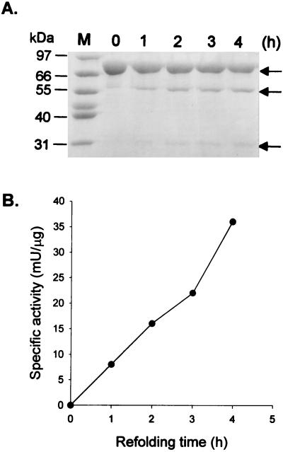 FIG. 5