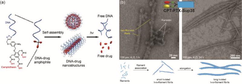 Fig. 17