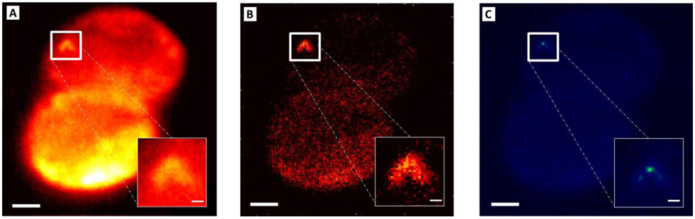 Figure 3.