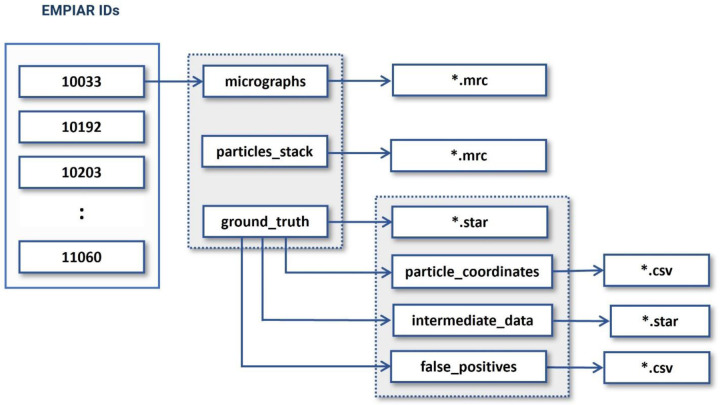 Figure 5: