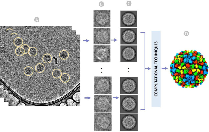 Figure 1: