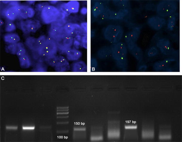 Fig. 6