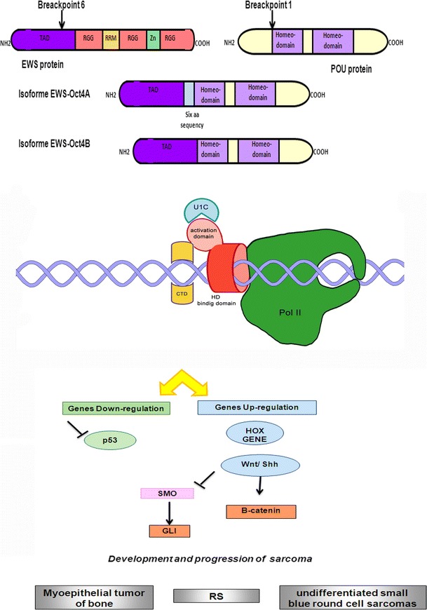 Fig. 3