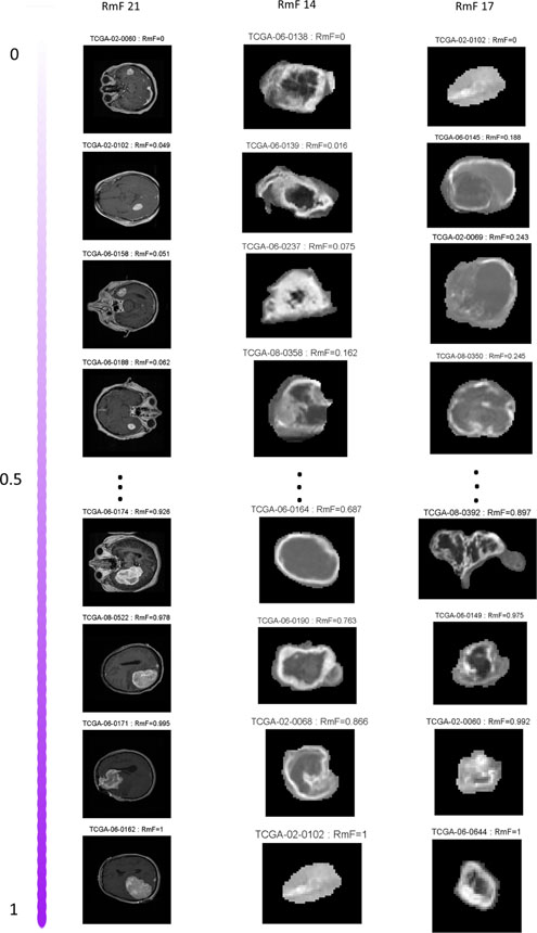 Fig 3: