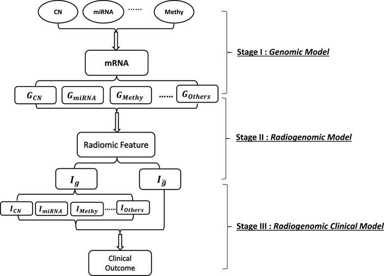 Fig 1: