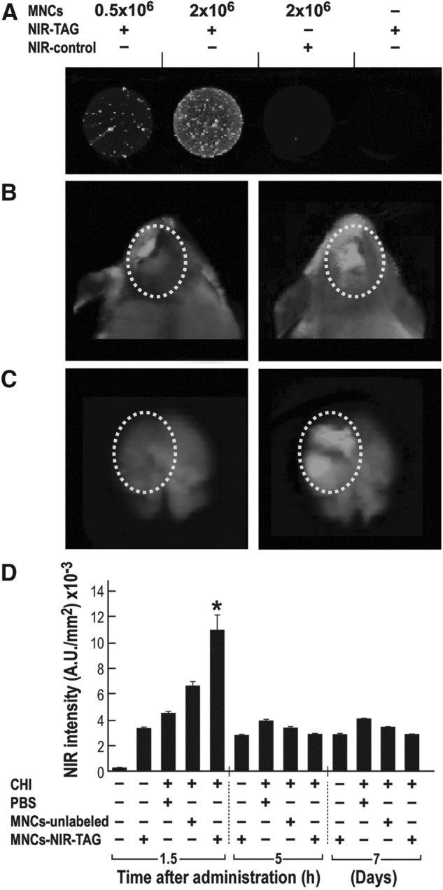 FIG. 6.