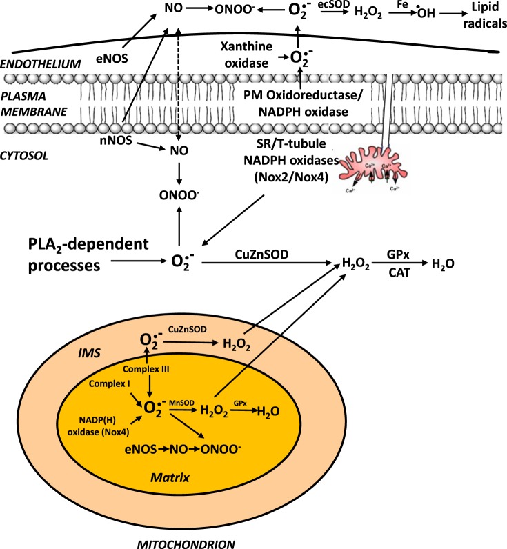 Fig. 2.