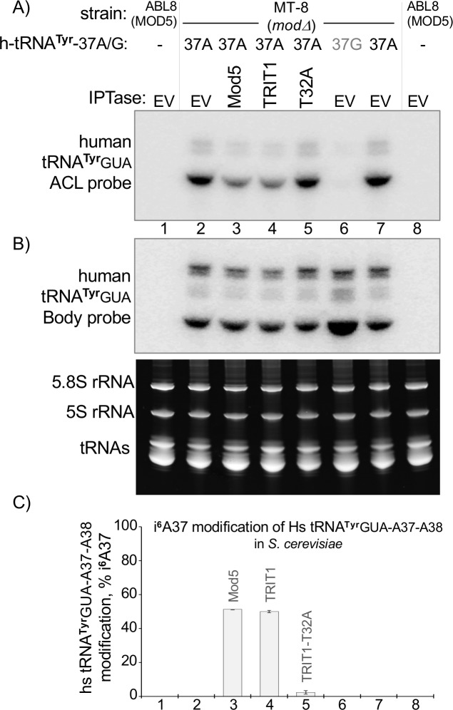 Fig 8