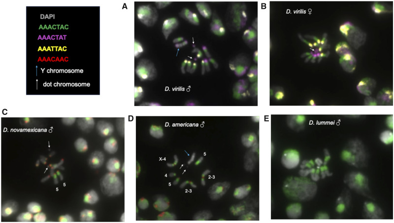 Fig. 3.