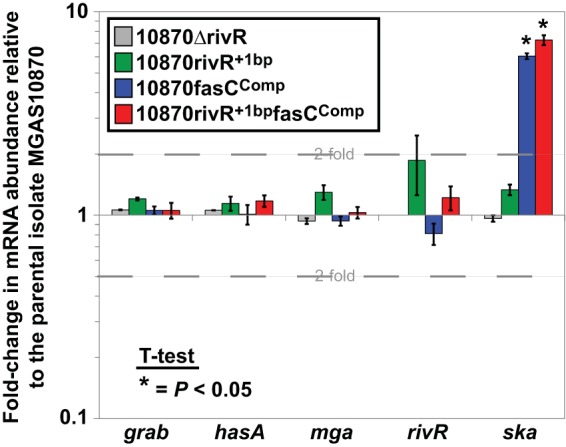 FIG 5