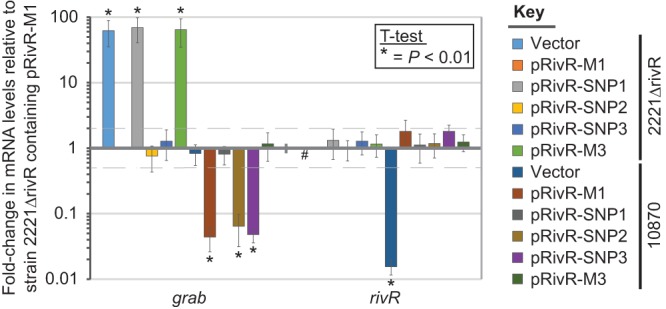 FIG 6