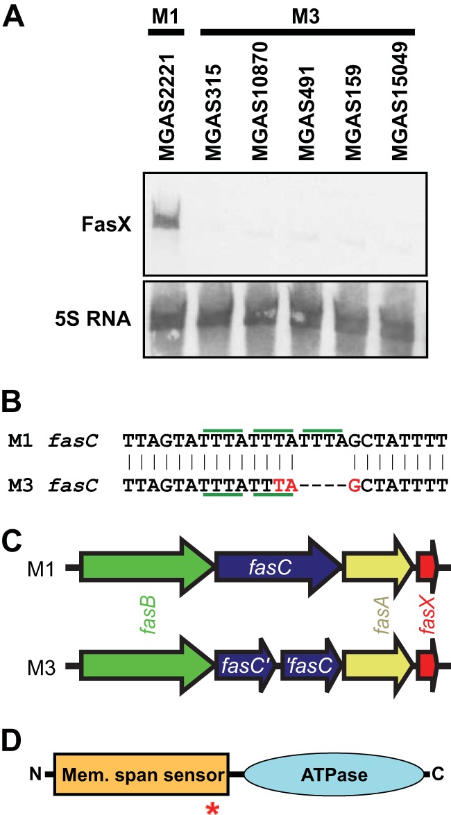 FIG 1