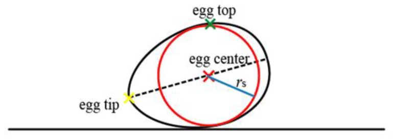 Figure 12