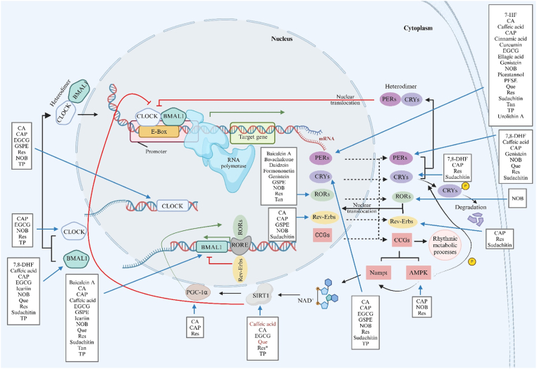 FIGURE 6