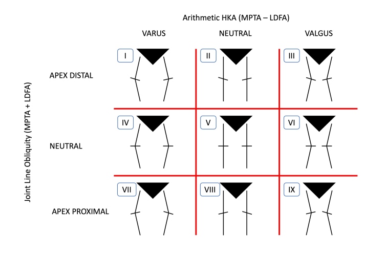 Figure 5. Schematic representation of knee phenotypes based on HKA and JLOA.69