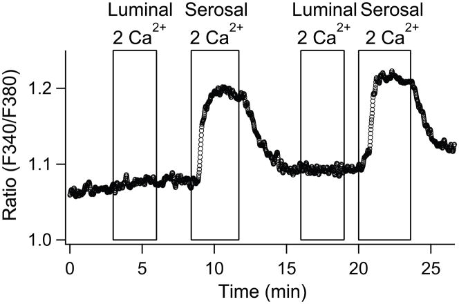 Fig. 5