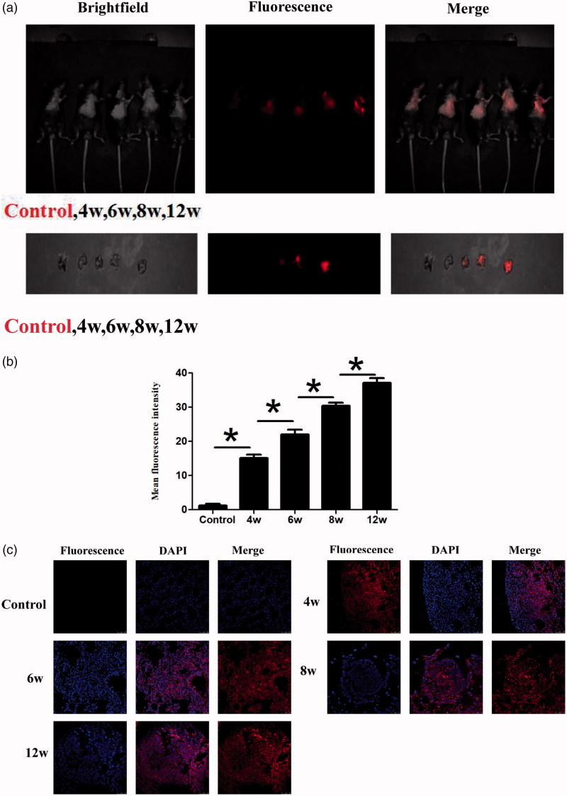 Figure 6.