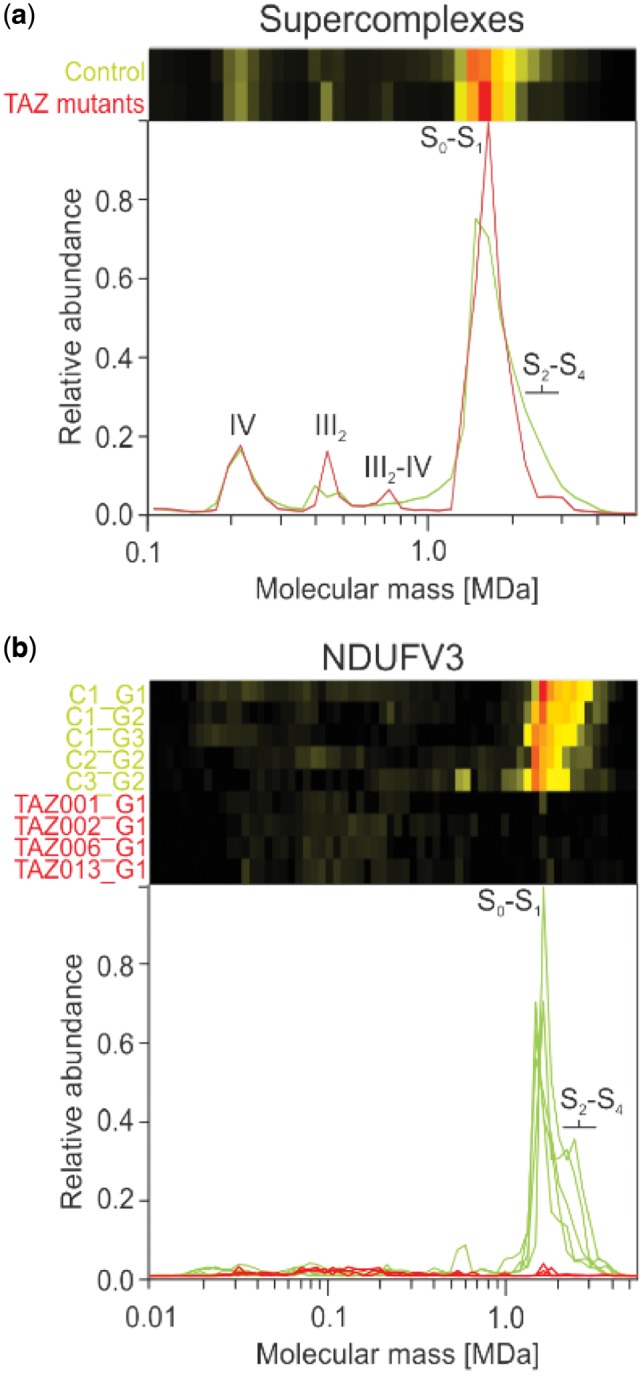 Fig. 3.