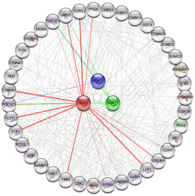 Figure 7