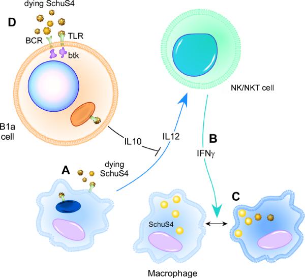 Figure 10