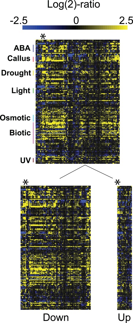 Figure 5.