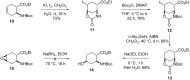 Scheme 3