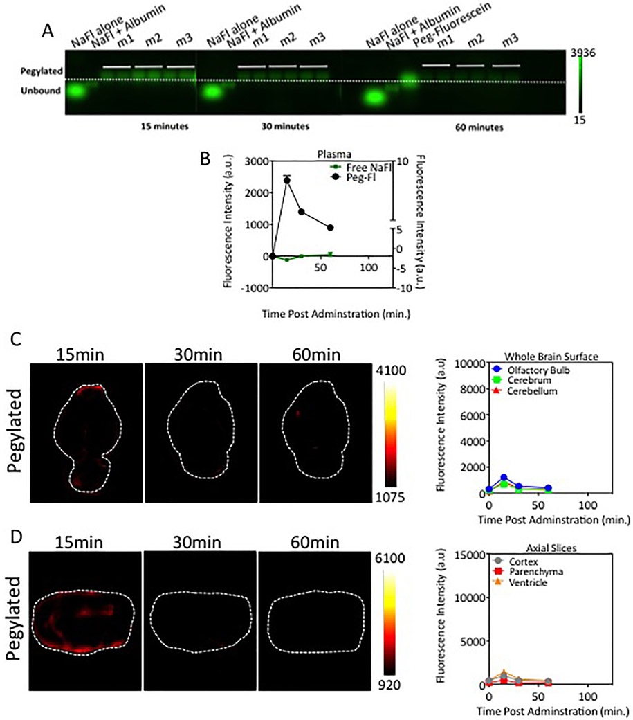 Fig. 6.