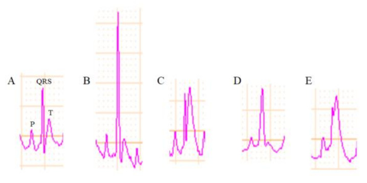 Figure 8
